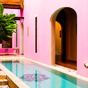 Rosas&xocolate Boutique Hotel+spa Mérida